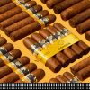 Cohiba Linea 1492 Siglo I｜高希霸世紀系列世紀一號雪茄
