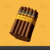 Cohiba Linea 1492 Siglo III｜高希霸世紀系列世紀三號雪茄