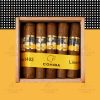 Cohiba Linea 1492 Siglo I｜高希霸世紀系列世紀一號雪茄