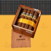 细节图2 Cohiba Linea Clásica Robusto|高希霸經典系列羅布圖雪茄